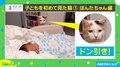 未知との遭遇…！赤ちゃんと初対面した猫の反応がTwitterで話題「なんとも味のある表情」
