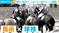 【映像】馬術と球技の融合!? 「ホースボール」が話題