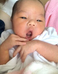 上原さくら『赤ちゃんのここが好き』