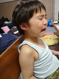 山田花子『次男が泣いている理由』