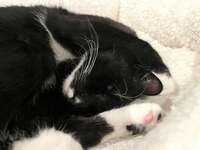 藤あや子『行ってきまーす‼︎』