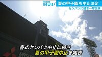 夏の甲子園 球児に残酷な知らせ...