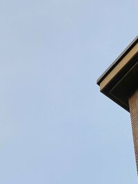 堀ちえみ『心地よい疲れが残る朝』