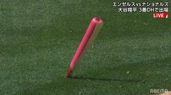 せっかくの「母の日」バットがボキリ、ボキリ 記念のピンクバットを強打者がまさかの2本破壊