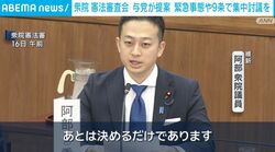 衆院 憲法審査会 与党が提案 緊急事態や9条で集中討議を