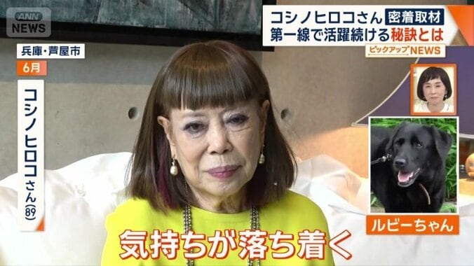 癒やしは愛犬のルビーちゃん