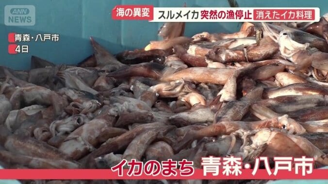 イカの町　青森・八戸市