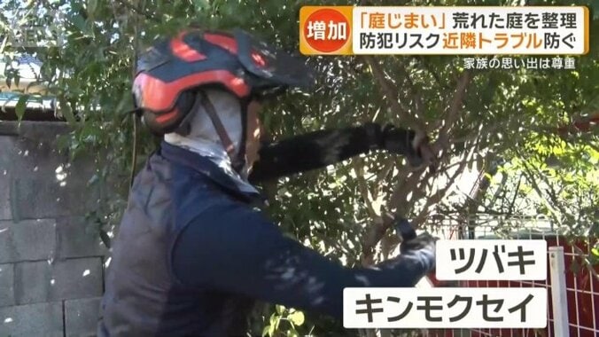 伸び放題になっていた