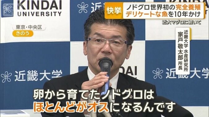 近畿大学　水産研究所　家戸敬太郎所長