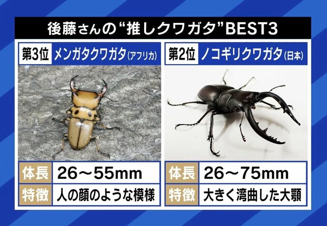 第3位と第2位
