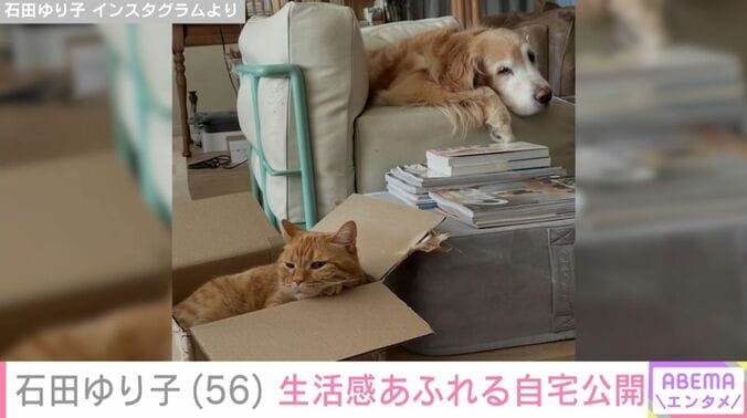 石田ゆり子の自宅