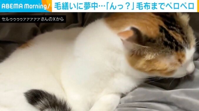 セルジオ悦子ちゃん