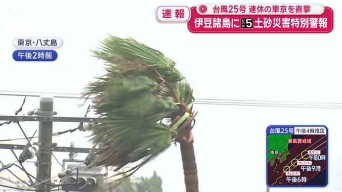 激しい風が吹く八丈島