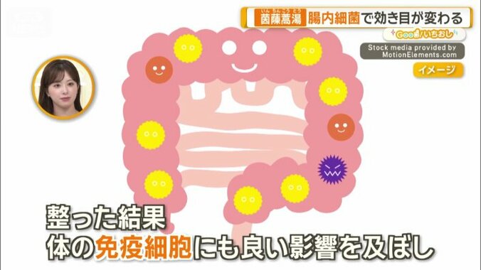 体の免疫細胞にもいい影響を及ぼす