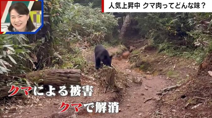 クマによる被害 クマで解消