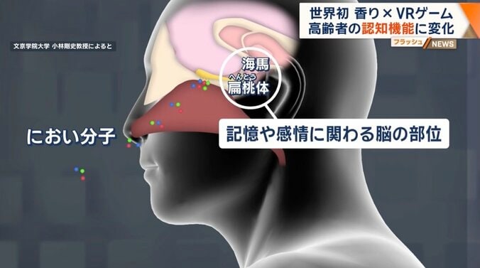 においと脳の関係