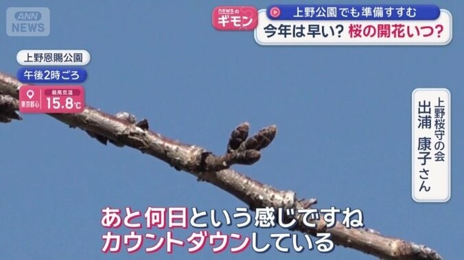 「うえの桜まつり」に向け、準備が進む