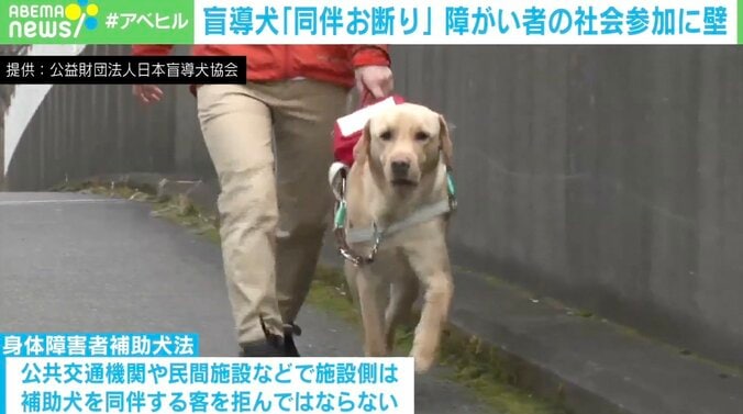 コロナ禍で医療機関も盲導犬の“同伴拒否”… 視覚障害者の社会的な障壁をなくすには 専門家「一人の患者として接して」 1枚目