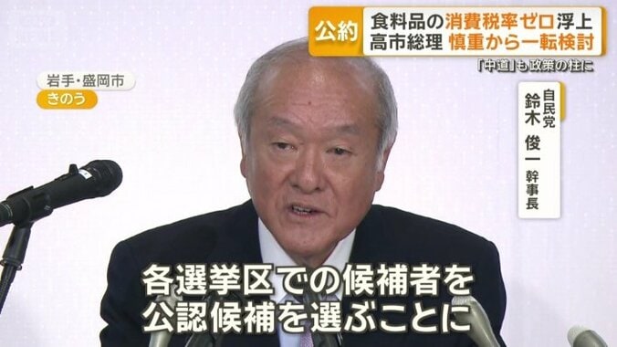 自民党　鈴木俊一幹事長