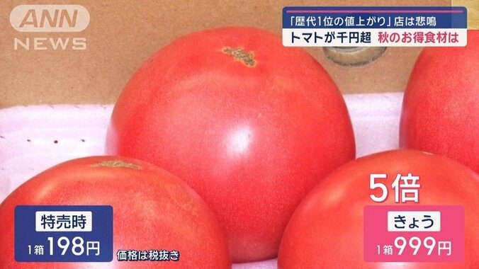 店は悲鳴…トマト「歴代一位の値上がり」　秋のお得食材、狙い目は“鍋のお供” 1枚目