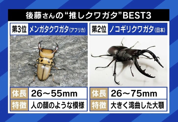 第3位と第2位