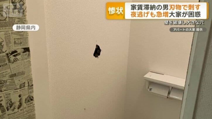 トイレの壁にあいた拳サイズの穴