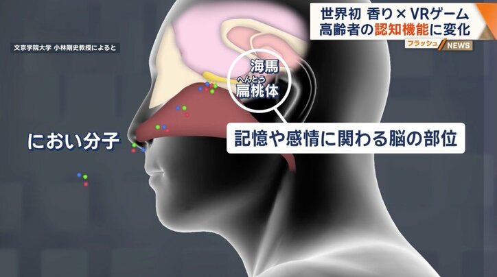 においと脳の関係