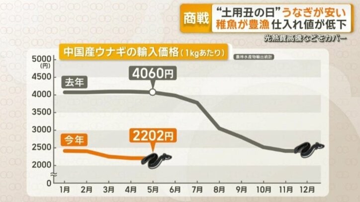 中国産ウナギの輸入価格（1キロあたり）