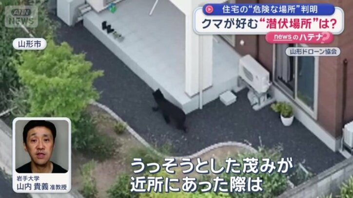 岩手大学　山内貴義准教授