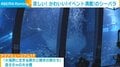 同じ水槽内のサメに食べられる!? 海の“リアル”を見て学べる水族館