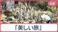 外国人・シニアに人気の秩父巡礼　12年に一度の特別な年　全域が“ご利益スポット”に