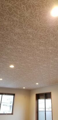 小原正子『天井☆』