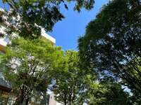 大島奈保美『乳腺外来に行ってきました』