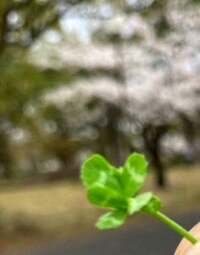 古村比呂『喉に違和感キタァ　グンナイ❣️』