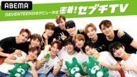 【SEVENTEEN日本デビュー決定】密着!セブチTV