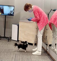 小柳ルミ子『CHANELとユニクロの普段着‼️』