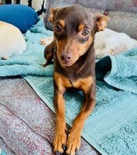 坂上忍『４年振りの地引網クッキング！』