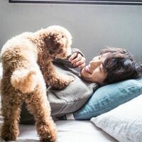 福士蒼汰の犬と戯れるキュートなオフショットにファン悶絶「癒される」「世界遺産レベルのかっこよさ」