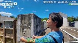 土葬文化ゆえの異様な光景…ひろゆき、独特すぎるお墓に驚き「オリジナリティあふれてますね」