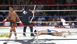 反撃の最中、燃え尽きるように失神 ボクシング元日本王者が驚愕した“タオル投入”の衝撃KO 「何かが効いたというよりは」要因も指摘