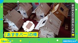 父が作ったログハウス、材料は「あずきバー」の棒！「器用すぎてワロタ」「ひと夏の量でない事を祈る」と話題 井村屋からも称賛