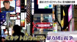 元刑事が語るスカウトG「ナチュラル」と暴力団の関係性「歌舞伎町は暴力団の縄張りが残っている」「一定の暴力団だけでなくあらゆるところに…」