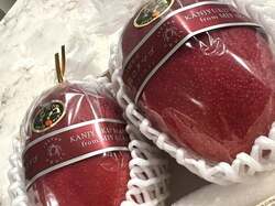  藤あや子、頂き物の高級品を公開「美味しすぎて涙が出る～」 