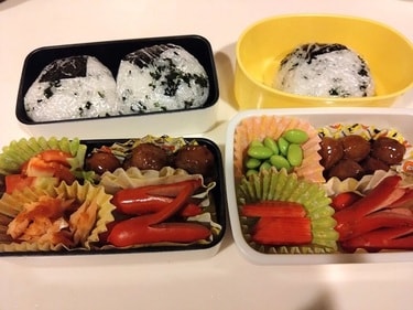 山田花子、びっくりな朝2時半に起き作った弁当「3食作ってきた