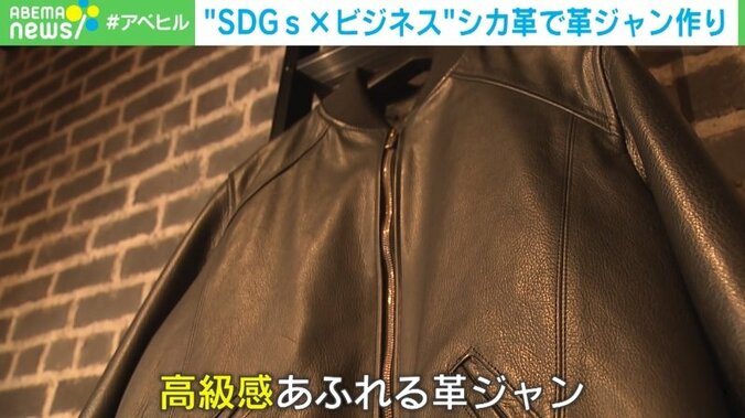 猟で狩った野生動物の獣皮を“革”へ 「命を無駄にしない」なめし加工会社社長の挑戦「世界に受け入れられるような消費文化を」 1枚目
