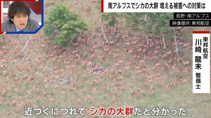 長野・南アルプス（提供：東邦航空）