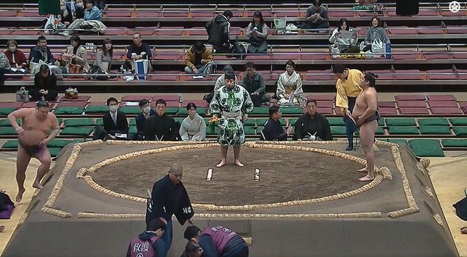 淡の海は、土俵下で審判を務めていた大鳴戸親方に直撃