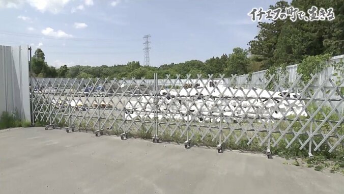 「“毒イチゴ農家”ってネットに書かれたことも…」“イチエフ”の町・大熊で生きることを決めた人たち 4枚目