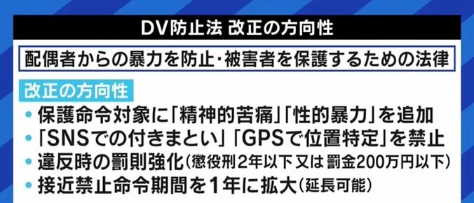 「まずはとにかく逃げて」という点では一致? 共同養育支援議員連盟の梅村みずほ議員が、“連れ去り”問題をめぐる駒崎弘樹氏の懸念に答える 12枚目