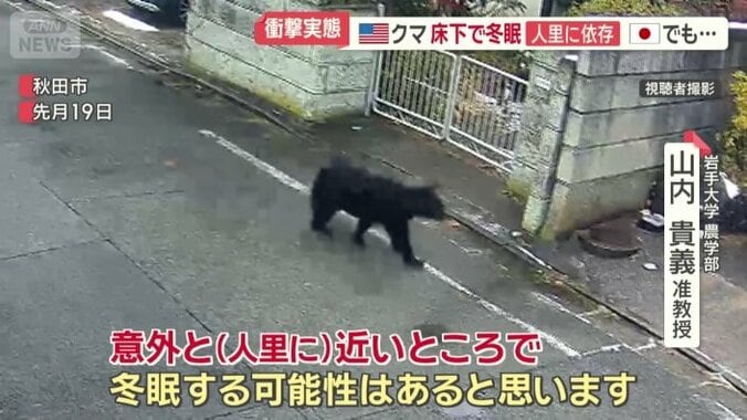 「人里に近い所で冬眠する可能性がある」